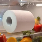 Riduci il tuo consumo di energia con un trucco semplice e sorprendente: un rotolo di carta igienica nel frigorifero